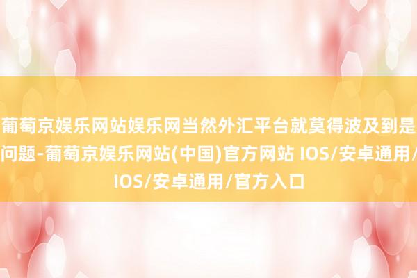葡萄京娱乐网站娱乐网当然外汇平台就莫得波及到是否正当的问题-葡萄京娱乐网站(中国)官方网站 IOS/安卓通用/官方入口