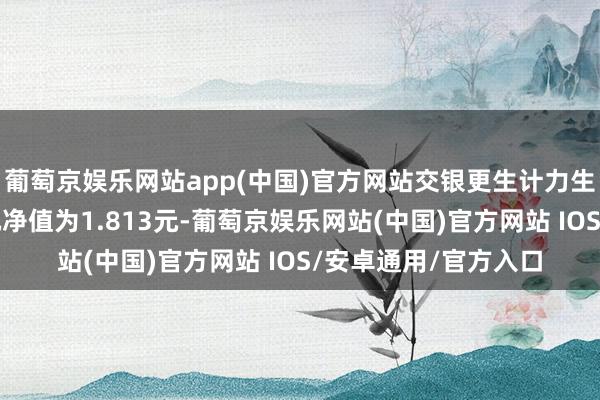 葡萄京娱乐网站app(中国)官方网站交银更生计力生动竖立搀和最新单元净值为1.813元-葡萄京娱乐网站(中国)官方网站 IOS/安卓通用/官方入口