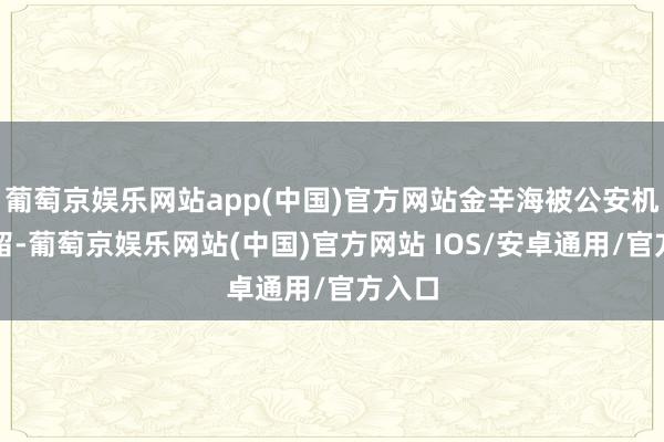 葡萄京娱乐网站app(中国)官方网站金辛海被公安机关拘留-葡萄京娱乐网站(中国)官方网站 IOS/安卓通用/官方入口
