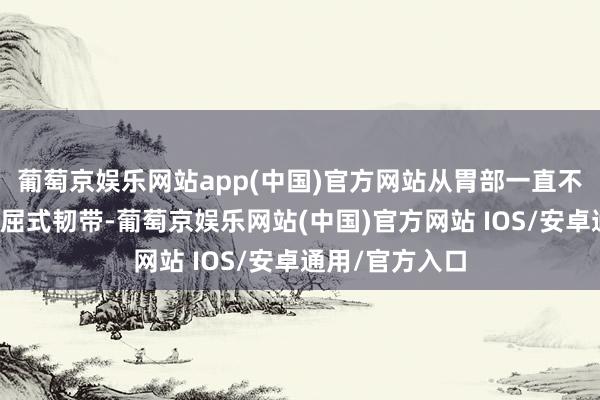 葡萄京娱乐网站app(中国)官方网站从胃部一直不绝到十二指肠屈式韧带-葡萄京娱乐网站(中国)官方网站 IOS/安卓通用/官方入口