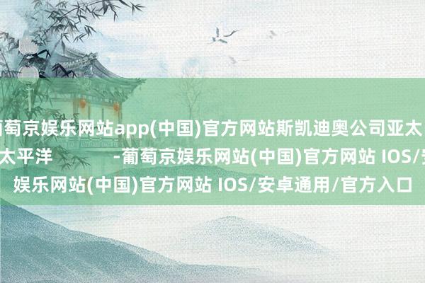 葡萄京娱乐网站app(中国)官方网站斯凯迪奥公司亚太区总司理开首：庞杂太平洋            -葡萄京娱乐网站(中国)官方网站 IOS/安卓通用/官方入口