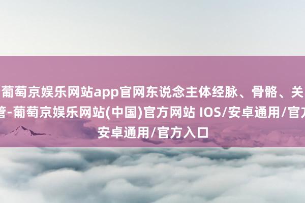 葡萄京娱乐网站app官网东说念主体经脉、骨骼、关连血管-葡萄京娱乐网站(中国)官方网站 IOS/安卓通用/官方入口