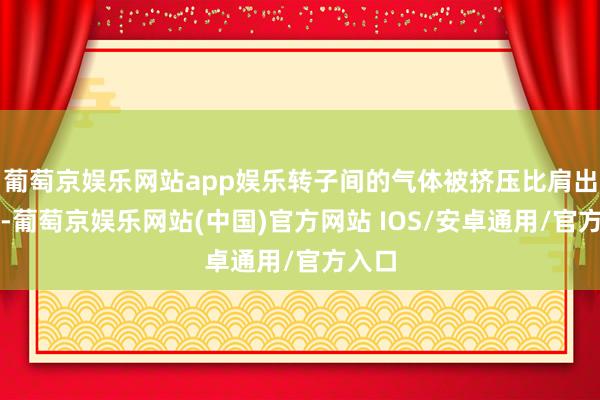 葡萄京娱乐网站app娱乐转子间的气体被挤压比肩出泵体-葡萄京娱乐网站(中国)官方网站 IOS/安卓通用/官方入口