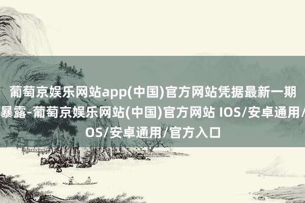 葡萄京娱乐网站app(中国)官方网站凭据最新一期基金季报暴露-葡萄京娱乐网站(中国)官方网站 IOS/安卓通用/官方入口