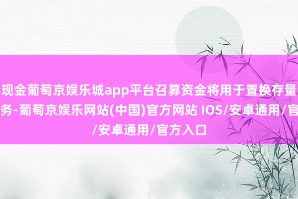 现金葡萄京娱乐城app平台召募资金将用于置换存量隐性债务-葡萄京娱乐网站(中国)官方网站 IOS/安卓通用/官方入口