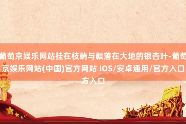 葡萄京娱乐网站挂在枝端与飘落在大地的银杏叶-葡萄京娱乐网站(中国)官方网站 IOS/安卓通用/官方入口