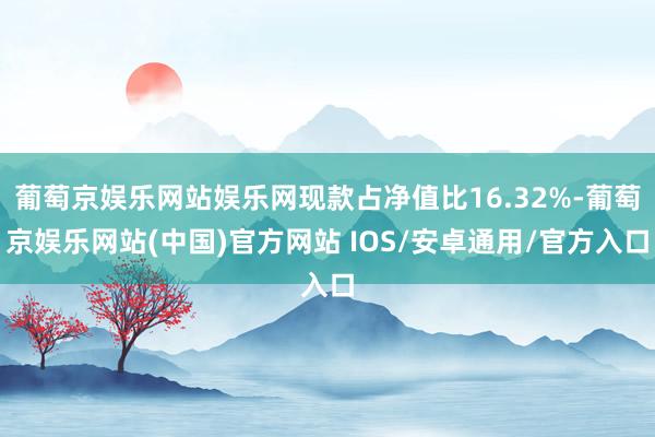 葡萄京娱乐网站娱乐网现款占净值比16.32%-葡萄京娱乐网站(中国)官方网站 IOS/安卓通用/官方入口