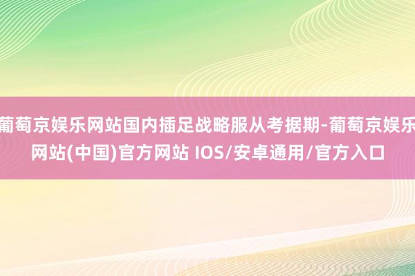 葡萄京娱乐网站国内插足战略服从考据期-葡萄京娱乐网站(中国)官方网站 IOS/安卓通用/官方入口