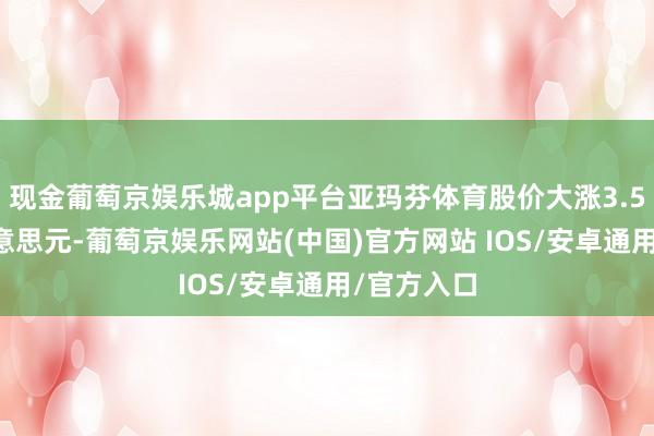 现金葡萄京娱乐城app平台亚玛芬体育股价大涨3.5%至20好意思元-葡萄京娱乐网站(中国)官方网站 IOS/安卓通用/官方入口