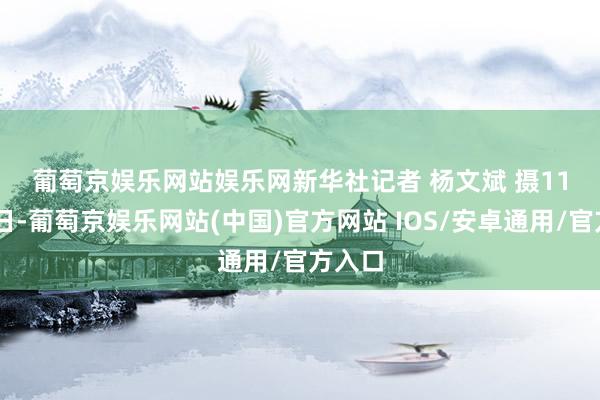 葡萄京娱乐网站娱乐网　　新华社记者 杨文斌 摄　　11月25日-葡萄京娱乐网站(中国)官方网站 IOS/安卓通用/官方入口
