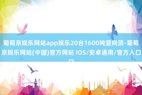 葡萄京娱乐网站app娱乐20台1600吨竖向顶-葡萄京娱乐网站(中国)官方网站 IOS/安卓通用/官方入口