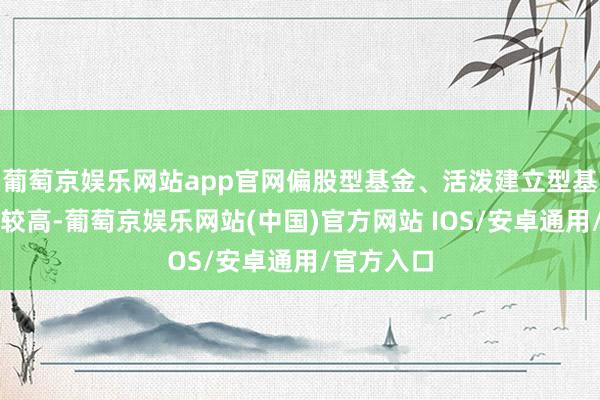 葡萄京娱乐网站app官网偏股型基金、活泼建立型基金的风险较高-葡萄京娱乐网站(中国)官方网站 IOS/安卓通用/官方入口