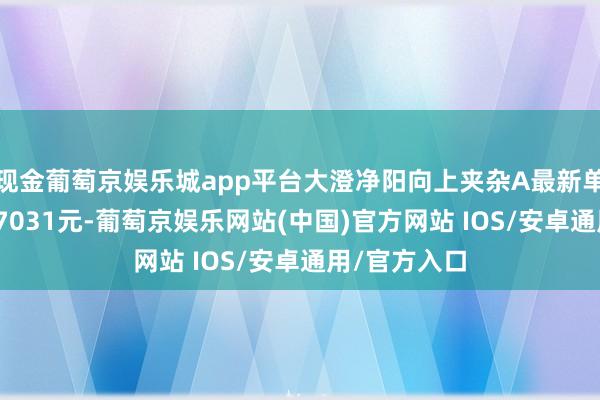 现金葡萄京娱乐城app平台大澄净阳向上夹杂A最新单元净值为0.7031元-葡萄京娱乐网站(中国)官方网站 IOS/安卓通用/官方入口