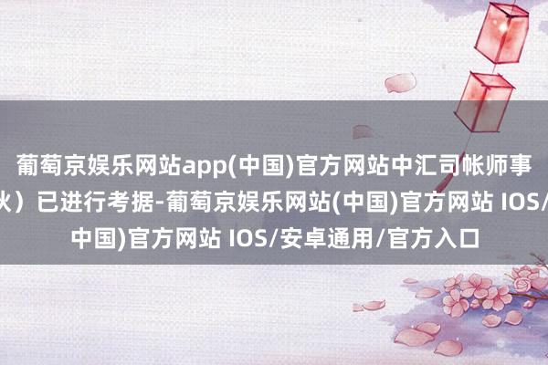 葡萄京娱乐网站app(中国)官方网站中汇司帐师事务所(特别粗犷结伙)已进行考据-葡萄京娱乐网站(中国)官方网站 IOS/安卓通用/官方入口
