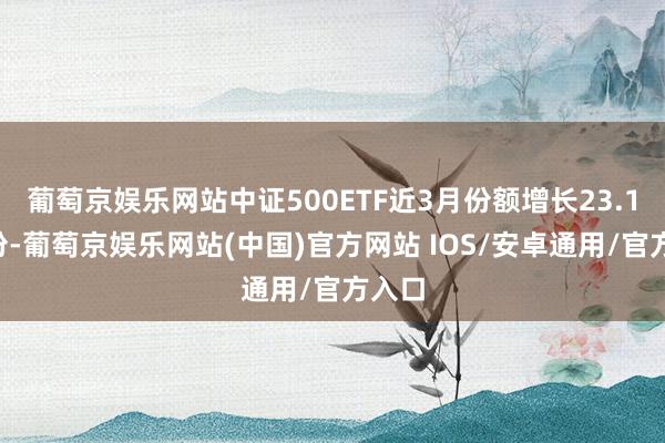 葡萄京娱乐网站中证500ETF近3月份额增长23.13亿份-葡萄京娱乐网站(中国)官方网站 IOS/安卓通用/官方入口