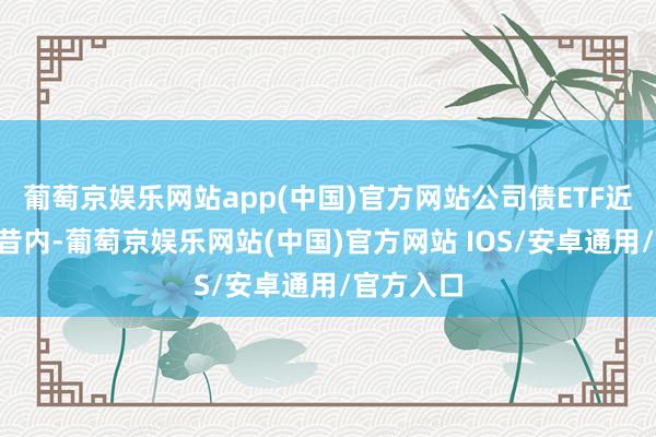 葡萄京娱乐网站app(中国)官方网站公司债ETF近9个来夙昔内-葡萄京娱乐网站(中国)官方网站 IOS/安卓通用/官方入口