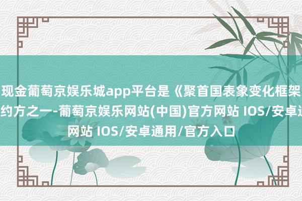 现金葡萄京娱乐城app平台是《聚首国表象变化框架协议》首批缔约方之一-葡萄京娱乐网站(中国)官方网站 IOS/安卓通用/官方入口