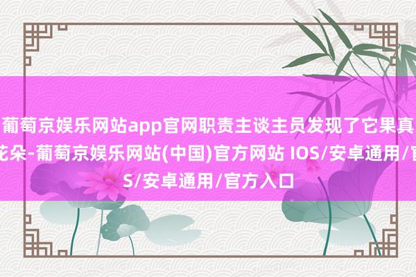 葡萄京娱乐网站app官网职责主谈主员发现了它果真长出了花朵-葡萄京娱乐网站(中国)官方网站 IOS/安卓通用/官方入口