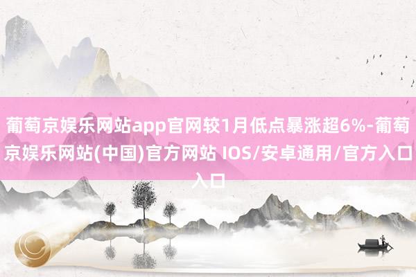 葡萄京娱乐网站app官网较1月低点暴涨超6%-葡萄京娱乐网站(中国)官方网站 IOS/安卓通用/官方入口