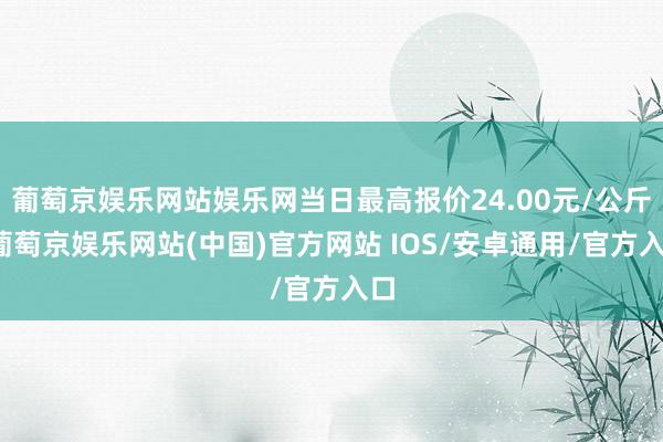 葡萄京娱乐网站娱乐网当日最高报价24.00元/公斤-葡萄京娱乐网站(中国)官方网站 IOS/安卓通用/官方入口