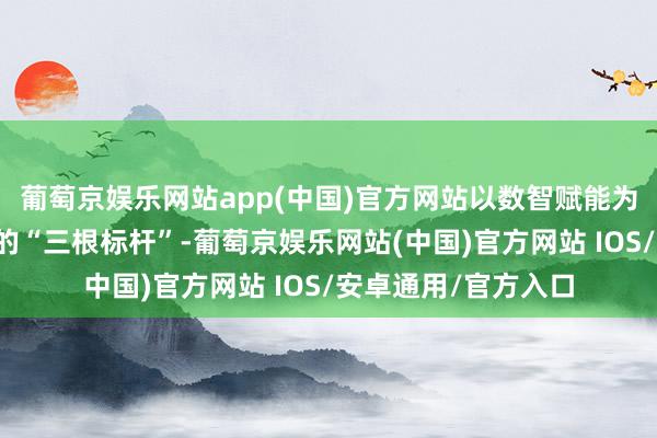 葡萄京娱乐网站app(中国)官方网站以数智赋能为导向配置从点到面的“三根标杆”-葡萄京娱乐网站(中国)官方网站 IOS/安卓通用/官方入口