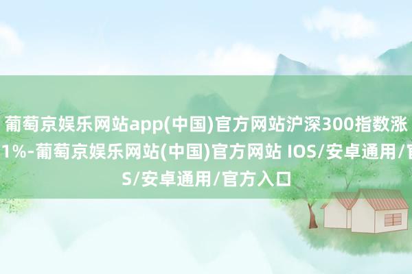 葡萄京娱乐网站app(中国)官方网站沪深300指数涨幅达16.1%-葡萄京娱乐网站(中国)官方网站 IOS/安卓通用/官方入口